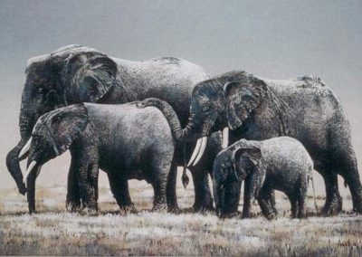 Elephant Walk