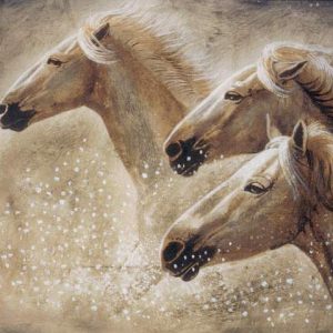 Stampede, oil by Antoinette